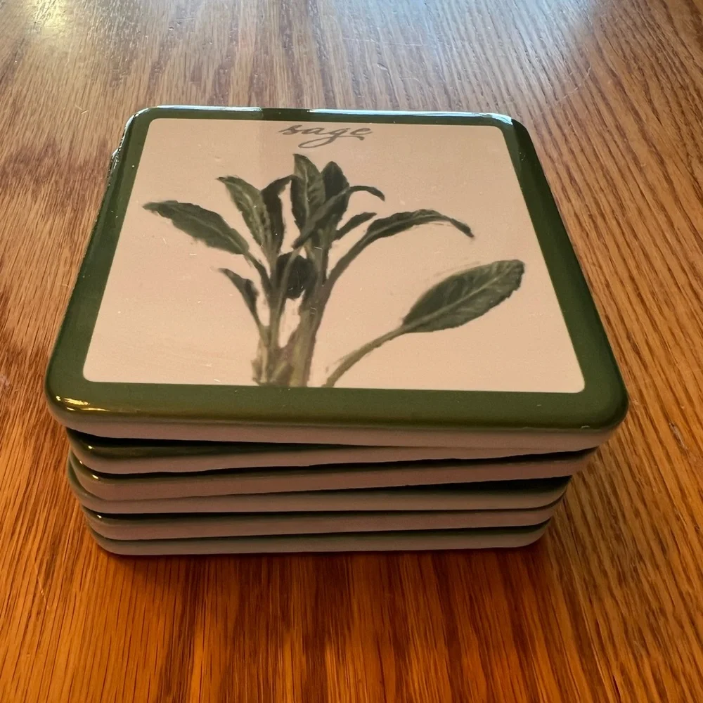 Set of 6 Sage Coasters with Darren Gygi's Artwork